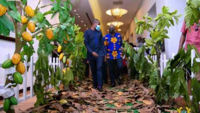Photo of Bawumia to investors: Come and invest in cocoa processing
