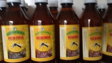 Photo of KNUST researchers caution against use of herbal medicine approved by FDA for clinical trials