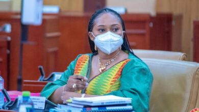 Photo of Adwoa Safo’s vetting was soft because of health considerations – Mahama Ayariga