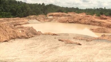 Photo of 16 ‘galamsey’ excavators seized at Amenfi West in Western Region