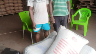Photo of Two alleged cocoa smugglers arrested in Volta region