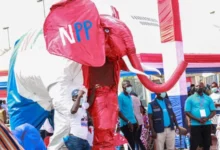 Photo of NPP opens nominations for constituency positions today