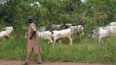 Photo of HO: Activities of Fulani herdsmen threaten lives in Sokode
