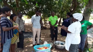 Photo of Farmers in Anloga District trained in tomato processing