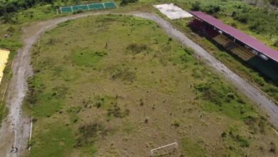 Photo of Ho: Million dollar multi-purpose Youth Sports Center now grazing ground for cattle