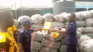 Photo of Dabala: Customs seizes 119 bags of marijuana and arrests the driver