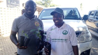 Photo of Green Ghana Day: Keta Municipal Assembly plants trees; MCE urges residents to nurture them