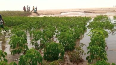 Photo of Hundreds of residents in Keta and Anloga displaced by tidal waves