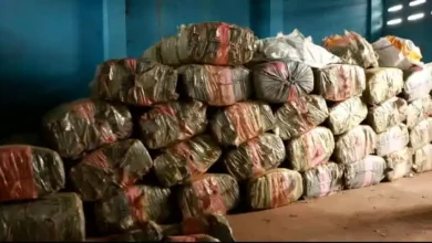 Photo of Volta Region: 6, 400 slabs of Indian hemp seized
