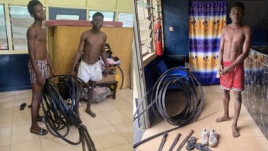 Photo of Two imprisoned 7 years for stealing Vodafone cables