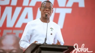 Photo of Let NDC Be Your ‘God’ – Fifi Kwetey Tells Voltarians