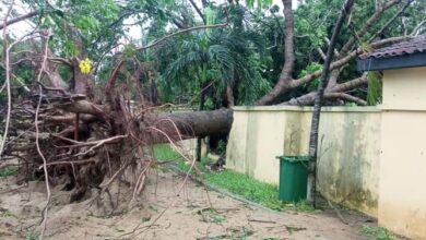 Photo of Rainstorm wreaks havoc in Keta and Anloga districts, residents count their losses