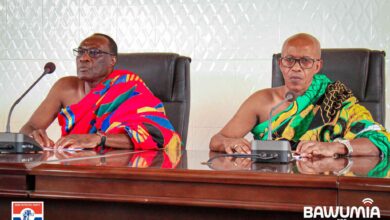 Photo of Bawumia’s progressive ideas should be actualized for the nation’s benefit – President of Volta Regional House of Chiefs