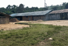 Photo of Wli Todzi community laments lack of development projects  