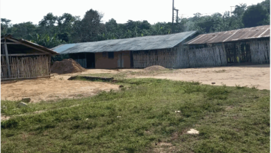 Photo of Wli Todzi community laments lack of development projects  