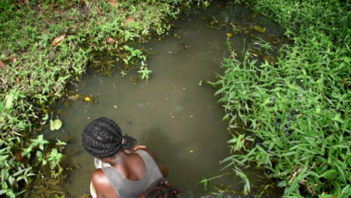 Photo of Avee residents rely on streams and wells due to inadequate potable water supply