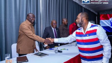 Photo of Stay focused, supportive to ensure NPP wins December polls – Gabby to Napo