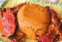 Photo of How to Prepare Dzenklpe