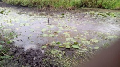 Photo of Residents of Fenyito Struggle for Water and Social Amenities Amid Growing Concerns