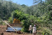 Photo of Work begins on Anyirawase–Tsibu road to boost connectivity in Ho West 