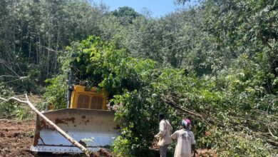 Photo of Work begins on Anyirawase–Tsibu road to boost connectivity in Ho West 