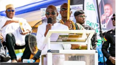 Photo of Asiedu Nketia urges protection of chieftaincy institution at Hogbe 