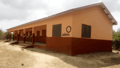 Photo of Anloga in mourning as bee invasion at EP School claims two young lives