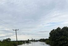 Photo of Two dead, farmlands destroyed as floods ravage Ketu North