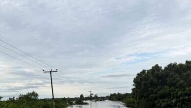 Photo of Two dead, farmlands destroyed as floods ravage Ketu North